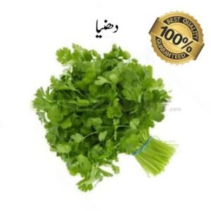 Coriander (Dahnia)