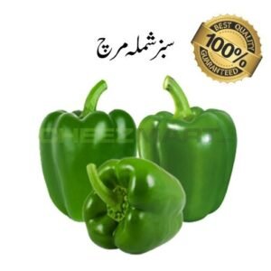 Green Bell Pepper (Shemla Mirch)