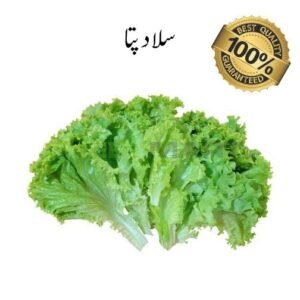 Green Salad Leave (Salad Pata)