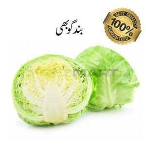 Ice Burg (Band Goobi)